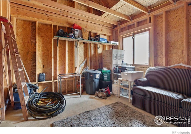 59 W Rustic Rd, Bellvue, CO 80512 - view of storage