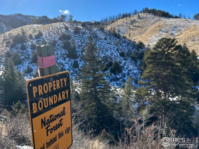 59 W Rustic Rd, Bellvue, CO 80512 - exterior details featuring a mountain view