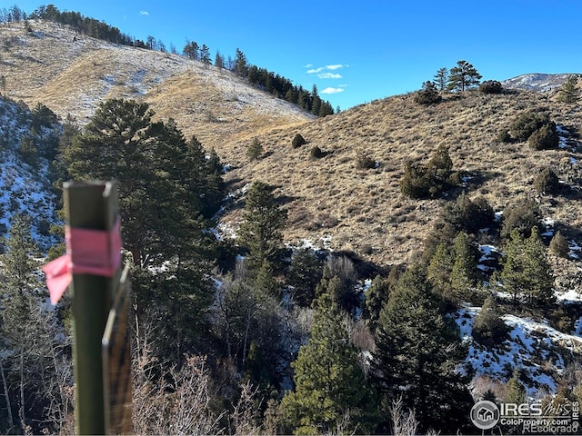 59 W Rustic Rd, Bellvue, CO 80512 - mountain view