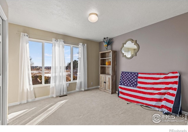 5621 W 27th St, Greeley, CO 80634 - sitting room with visible vents, carpet flooring, a textured ceiling, and baseboards