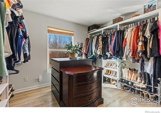 5621 W 27th St, Greeley, CO 80634 - walk in closet featuring light wood-style floors