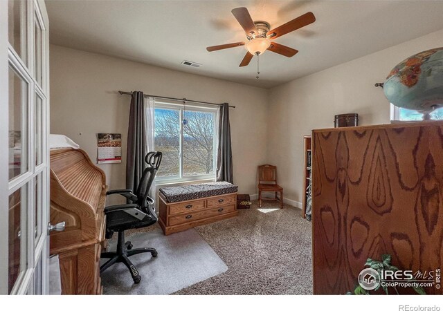 10752 County Road 7, Longmont, CO 80504 - photo 19