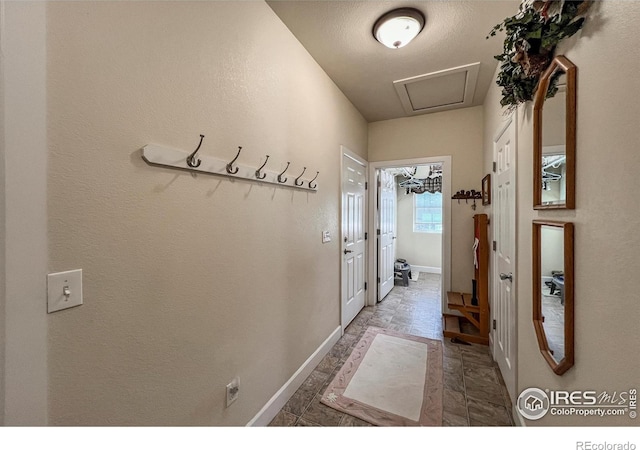 10752 County Road 7, Longmont, CO 80504 - photo 24