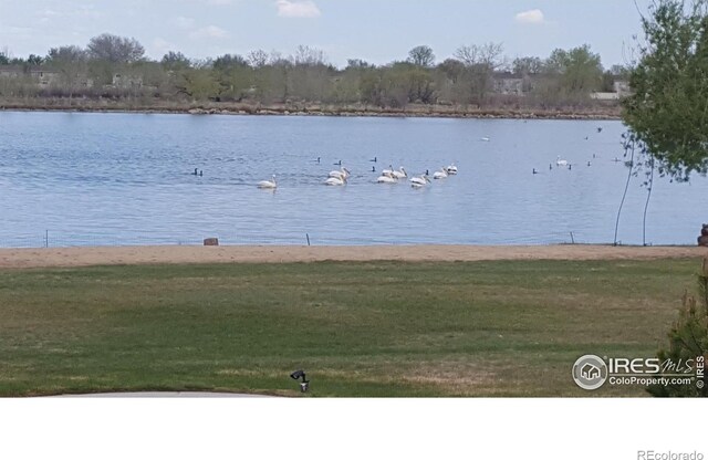 10752 County Road 7, Longmont, CO 80504 - photo 34