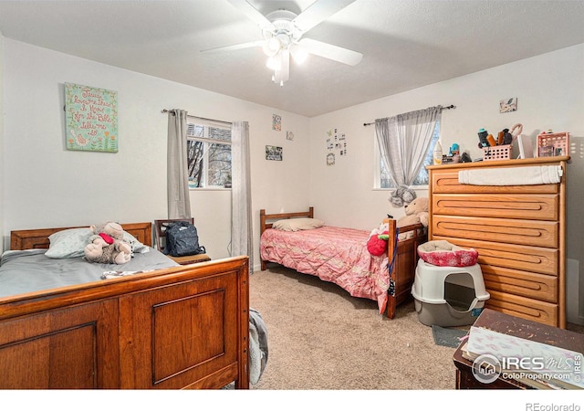 1322-1324 Washington Ave, Loveland, CO 80537 - photo 9