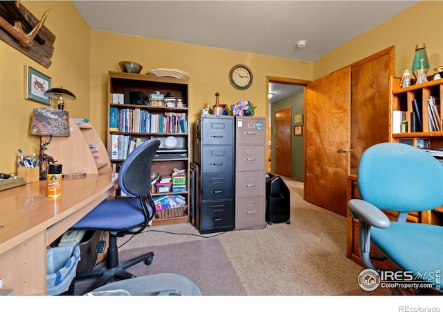 562 E St, Hillrose, CO 80733 - home office featuring carpet flooring