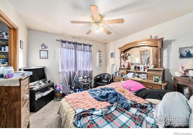 2250 W 44th St, Loveland, CO 80538 - photo 11