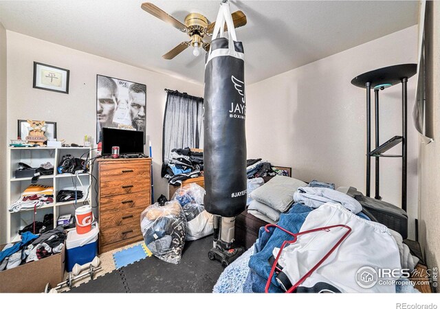 2250 W 44th St, Loveland, CO 80538 - photo 12