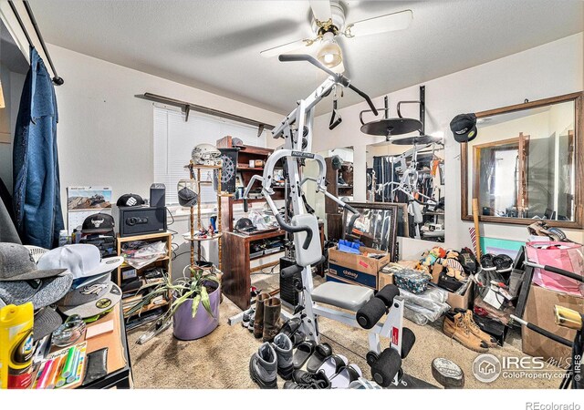 2250 W 44th St, Loveland, CO 80538 - photo 13