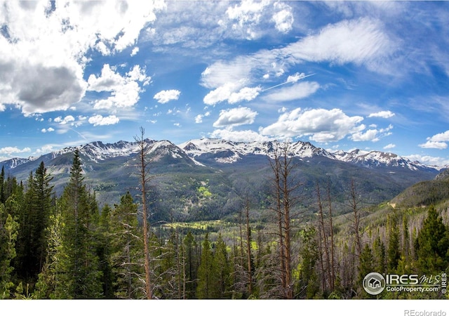 1760 Continental Peaks Cir, Estes Park, CO 80517 - property view of mountains with a forest view