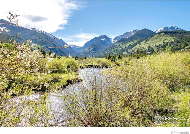 1760 Continental Peaks Cir, Estes Park, CO 80517 - mountain view