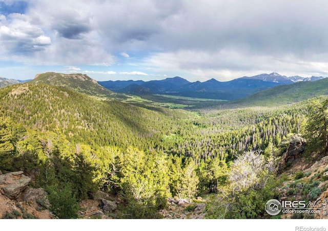 1760 Continental Peaks Cir, Estes Park, CO 80517 - view of mountain feature featuring a forest view