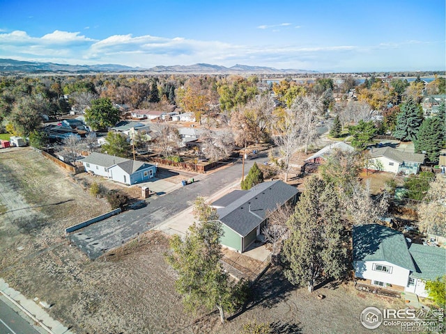 820 N Franklin Ave, Loveland, CO 80537 - photo 22