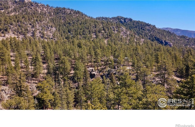 105 Fox Creek Rd, Glen Haven, CO 80532