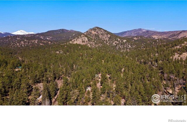 105 Fox Creek Rd, Glen Haven, CO 80532