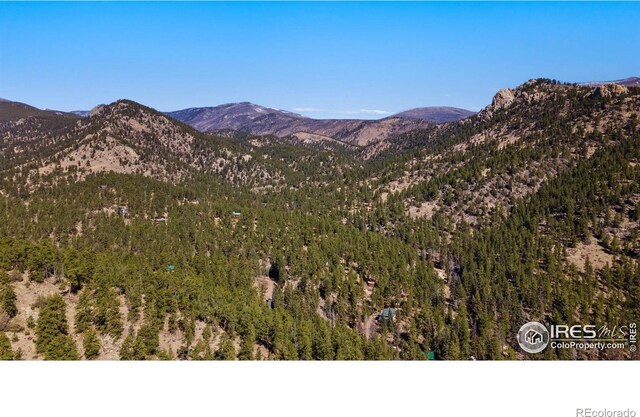 105 Fox Creek Rd, Glen Haven, CO 80532