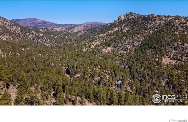 105 Fox Creek Rd, Glen Haven, CO 80532