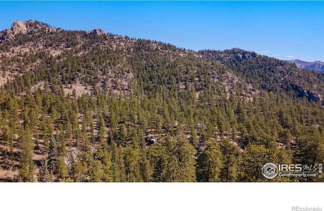 105 Fox Creek Rd, Glen Haven, CO 80532