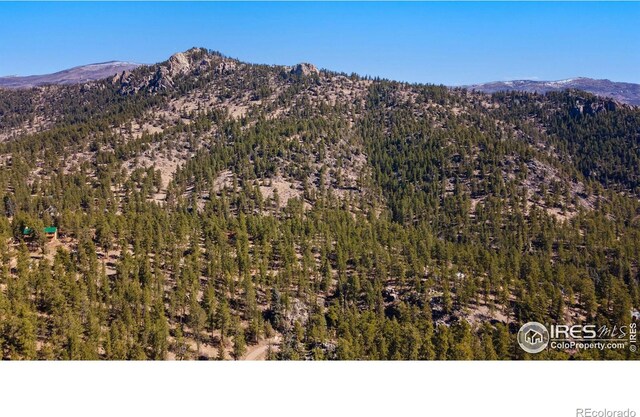 105 Fox Creek Rd, Glen Haven, CO 80532