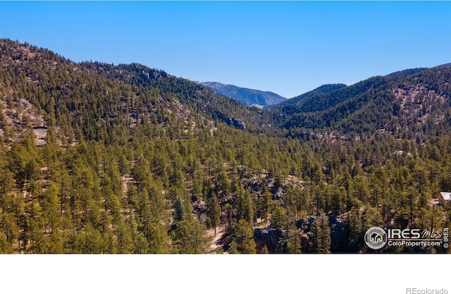 105 Fox Creek Rd, Glen Haven, CO 80532