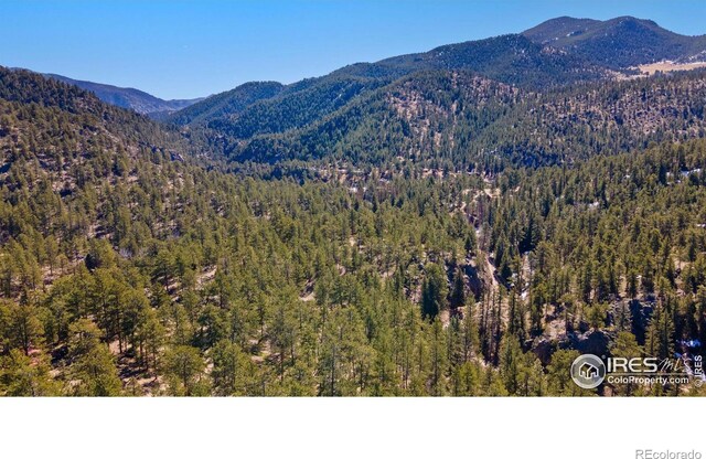 105 Fox Creek Rd, Glen Haven, CO 80532