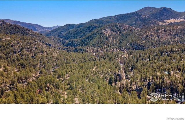 105 Fox Creek Rd, Glen Haven, CO 80532