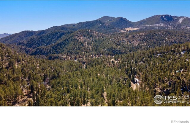 105 Fox Creek Rd, Glen Haven, CO 80532