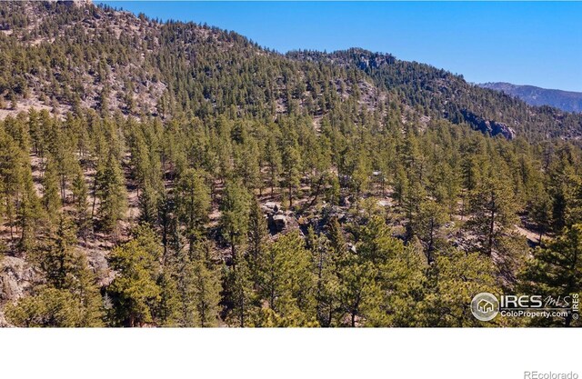 105 Fox Creek Rd, Glen Haven, CO 80532