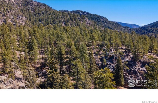 105 Fox Creek Rd, Glen Haven, CO 80532
