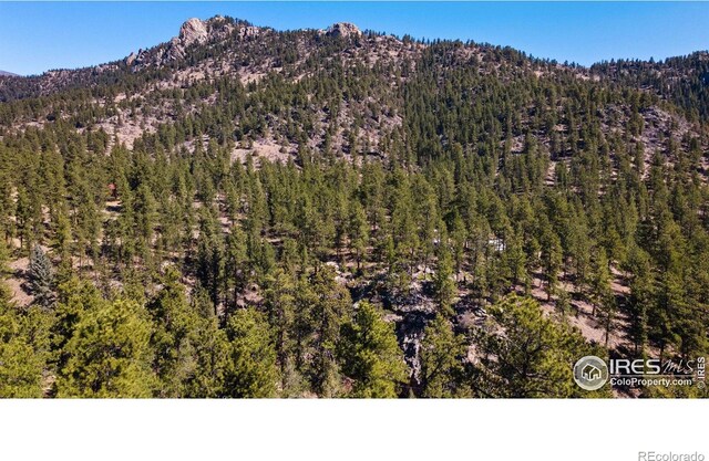 105 Fox Creek Rd, Glen Haven, CO 80532