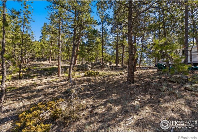 105 Fox Creek Rd, Glen Haven, CO 80532