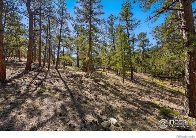 105 Fox Creek Rd, Glen Haven, CO 80532
