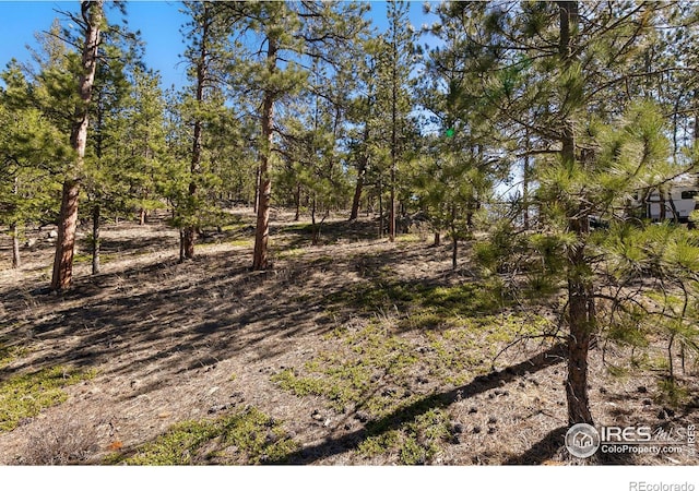 105 Fox Creek Rd, Glen Haven, CO 80532