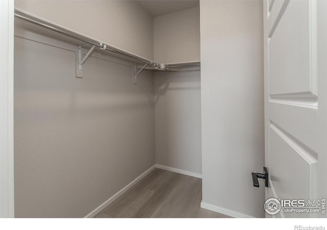 walk in closet with wood finished floors