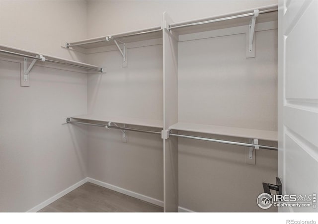 walk in closet with wood finished floors
