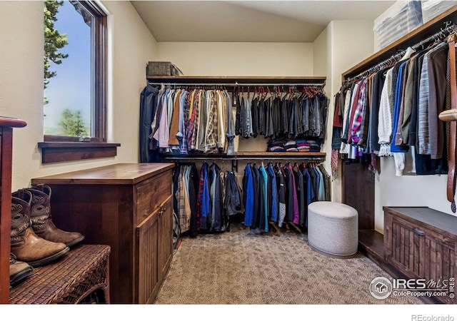 spacious closet featuring carpet floors