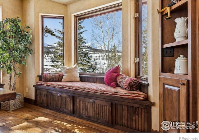 living area featuring wood finished floors