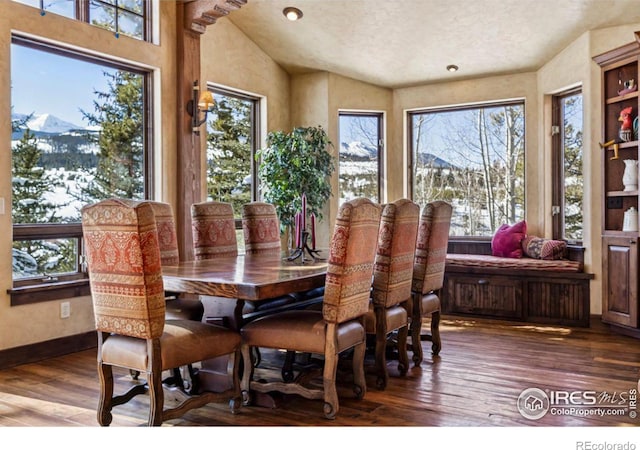 dining room with hardwood / wood-style flooring, a mountain view, a healthy amount of sunlight, and baseboards