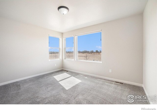 2832 Sykes Dr, Fort Collins, CO 80524 - photo 9