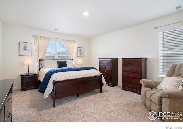 254 Ptarmigan Ln, Johnstown, CO 80534 - view of carpeted bedroom