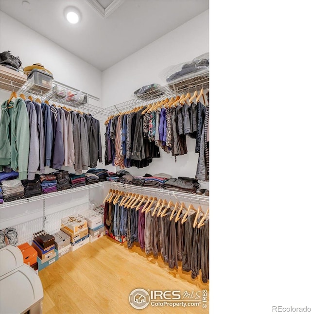 spacious closet with wood finished floors