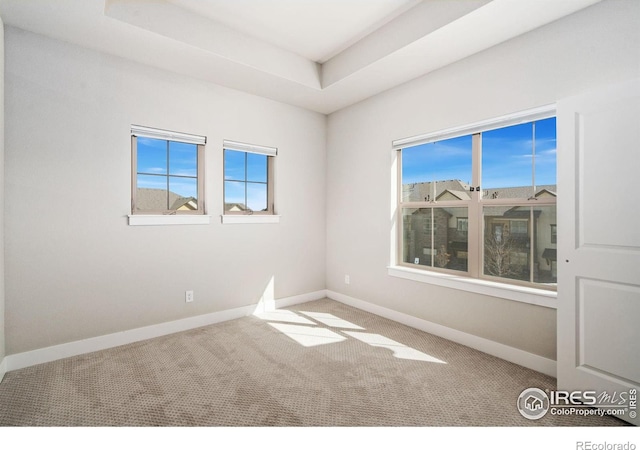 unfurnished room with baseboards, a raised ceiling, and carpet floors