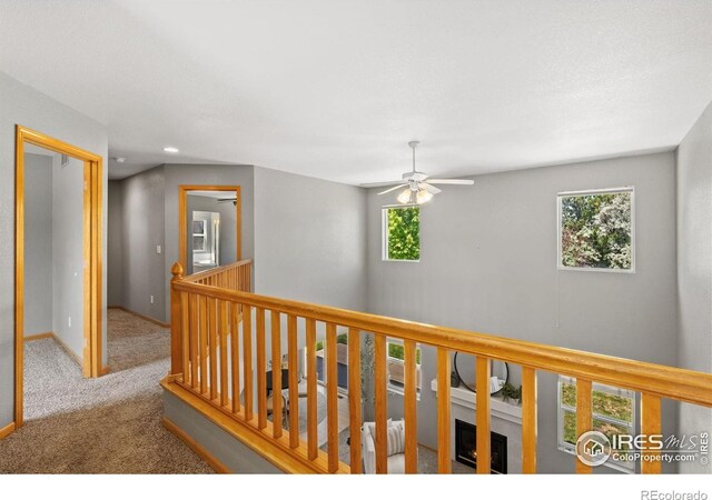 4015 Sunstone Way, Fort Collins, CO 80525 - photo 16