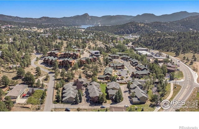 300 Far View Dr Unit 8, Estes Park, CO 80517 - photo 24