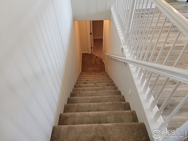 2915 58th Avenue Ct, Greeley, CO 80634 - photo 27
