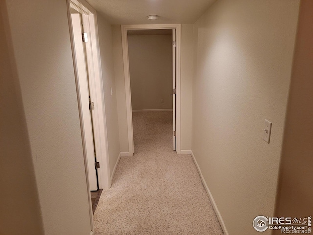 2915 58th Avenue Ct, Greeley, CO 80634 - photo 31