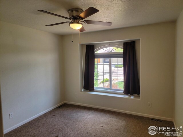 2915 58th Avenue Ct, Greeley, CO 80634 - photo 14