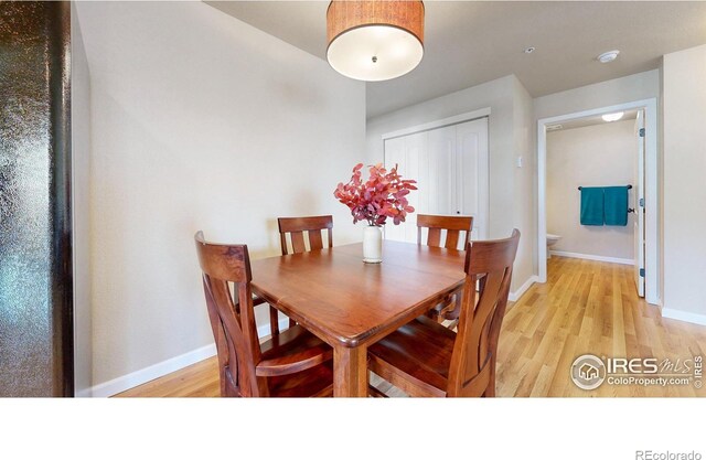 4855 Hahns Peak Dr Unit 204, Loveland, CO 80538 - photo 10