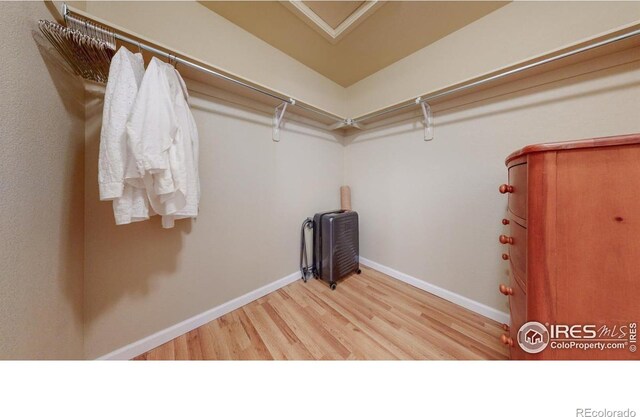 4855 Hahns Peak Dr Unit 204, Loveland, CO 80538 - photo 26