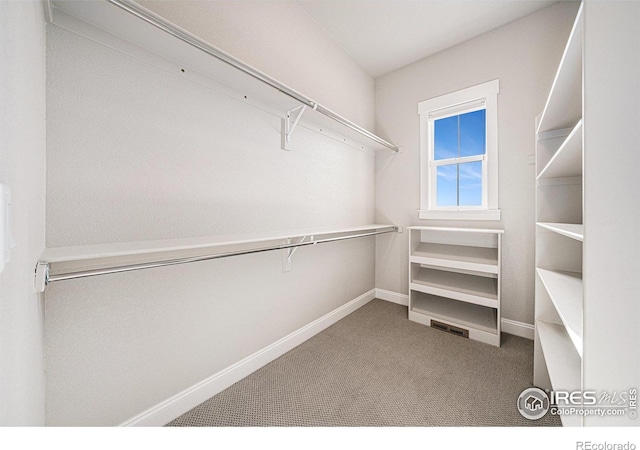 4300 Ardglass Ln, Timnath, CO 80547 - walk in closet featuring carpet floors